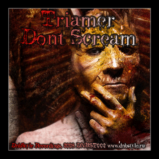 DNBST002 - Dont Scream - DnbStyle Recordings